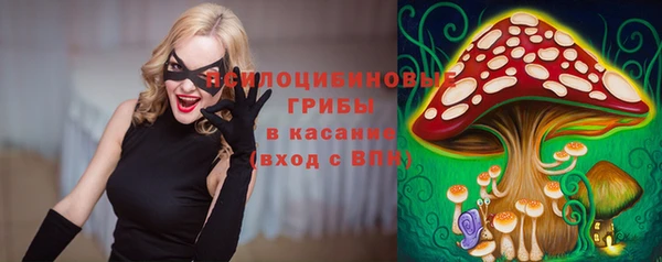 соль ск Абдулино