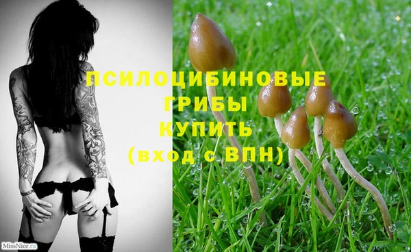 бошки Абинск