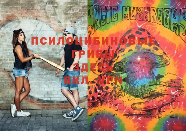 соль ск Абдулино